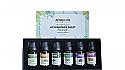 Essential Oil Set Lavender, Thyme, Eucalyptus, Lemongrass, Rosemary and Bergamot